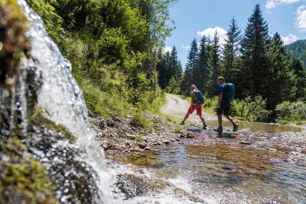 Family- Home Alpenblick Dellach im Drautal Eksteriør billede