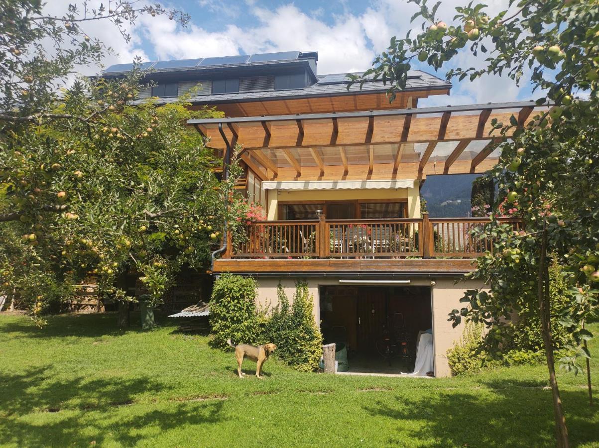 Family- Home Alpenblick Dellach im Drautal Eksteriør billede